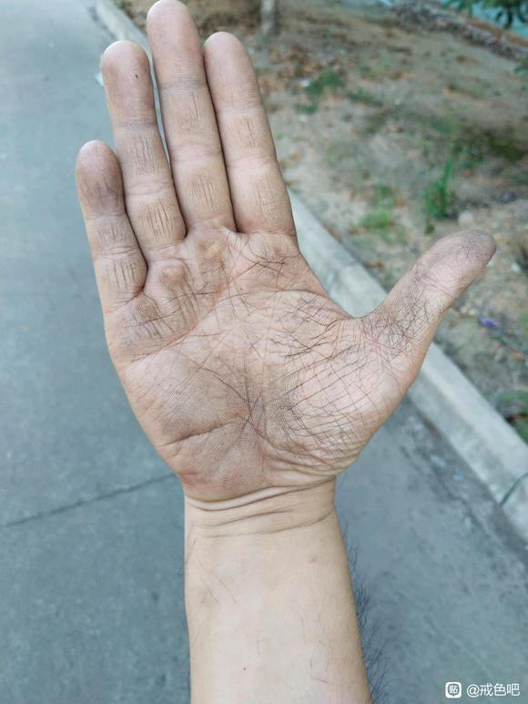 ”我怎么办？我真是苦逼的人！