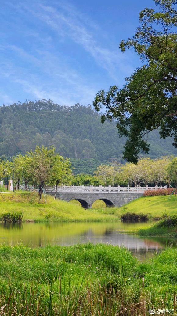 ”戒色打卡，第四天