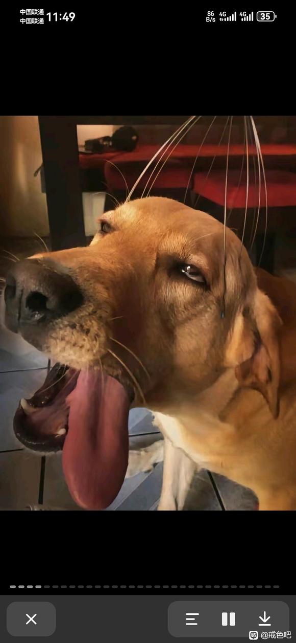 ”前列腺炎，戒了