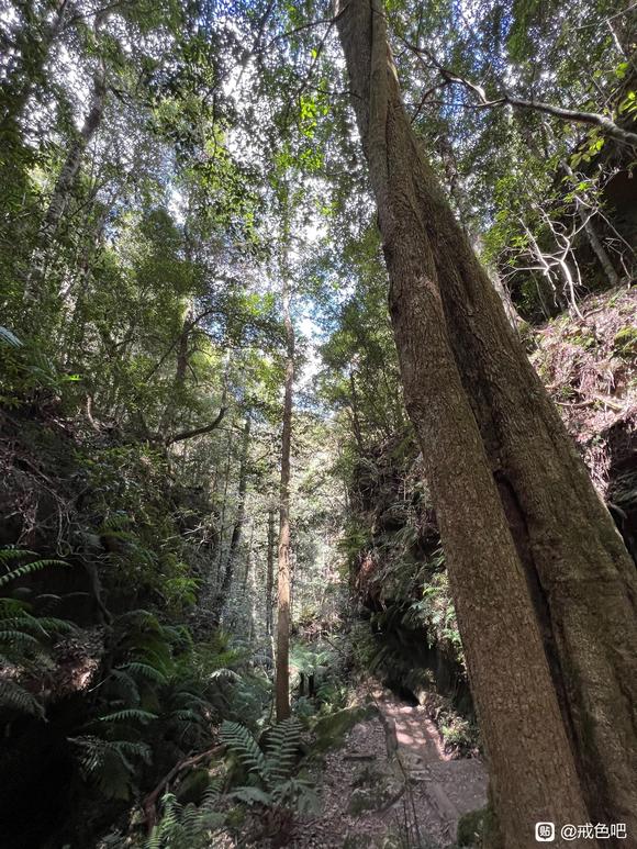 ”成功让自己戒色5年的方法第二篇