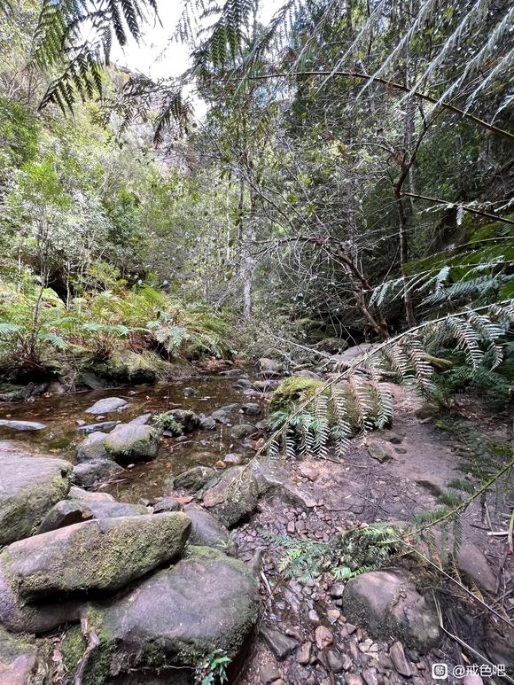 ”成功让自己戒色5年的方法第二篇