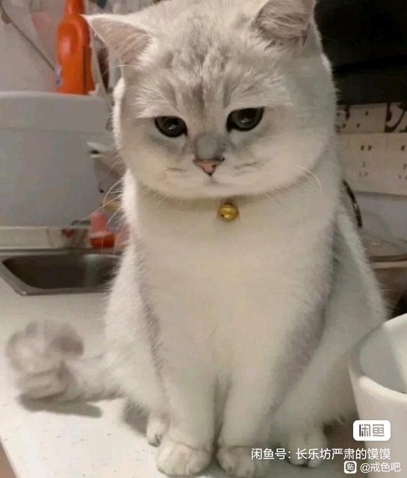 ”请教大家个问题