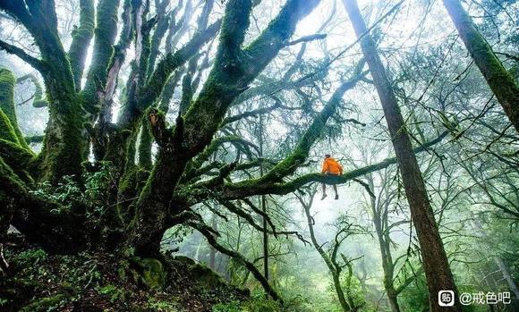 ”戒色第53天！