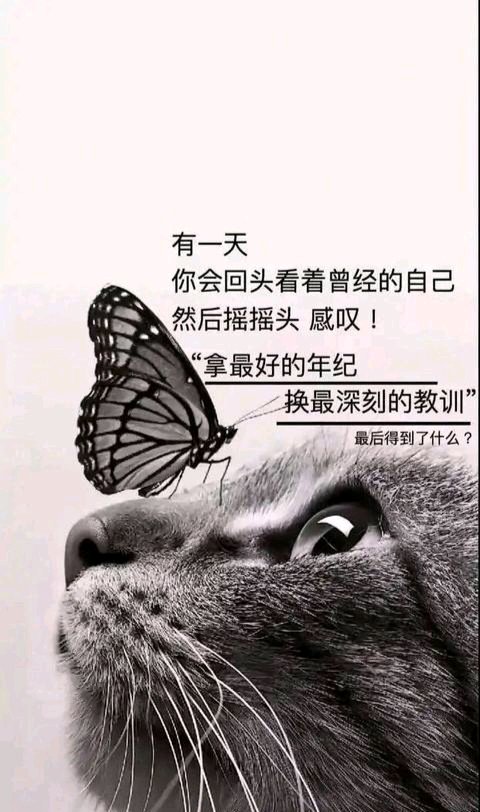 ”　　是来自于贵州遵义的，初中毕业，现在24岁，年底满25，呵