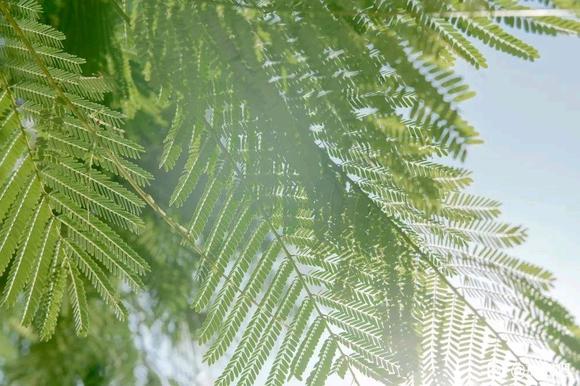 ”第三百四十章