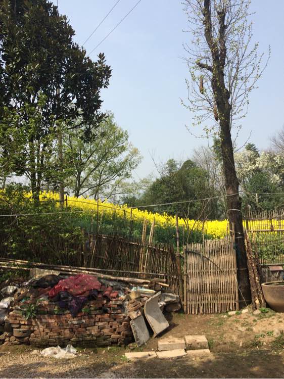 ”【成长记录】第一遗精