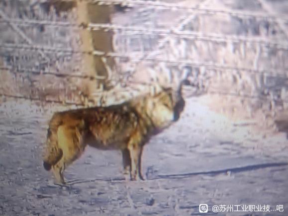 ”发愿公益帮助100人戒色