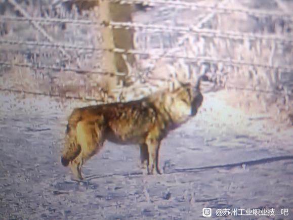 ”发愿公益帮助100人戒色
