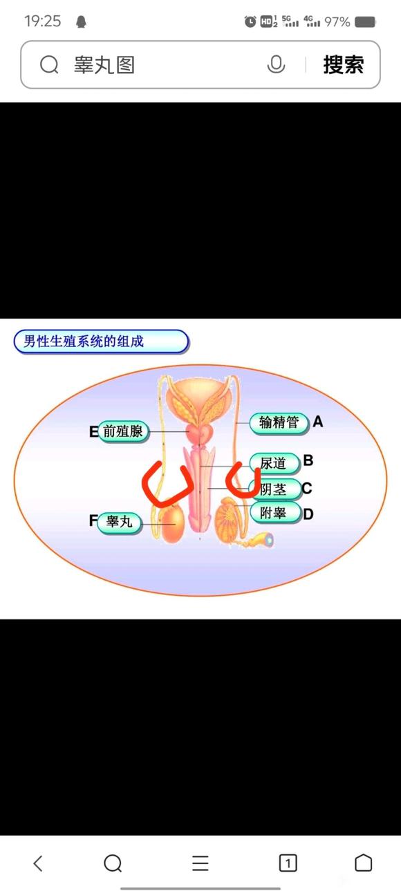 ”你们笑话吧！唉！
