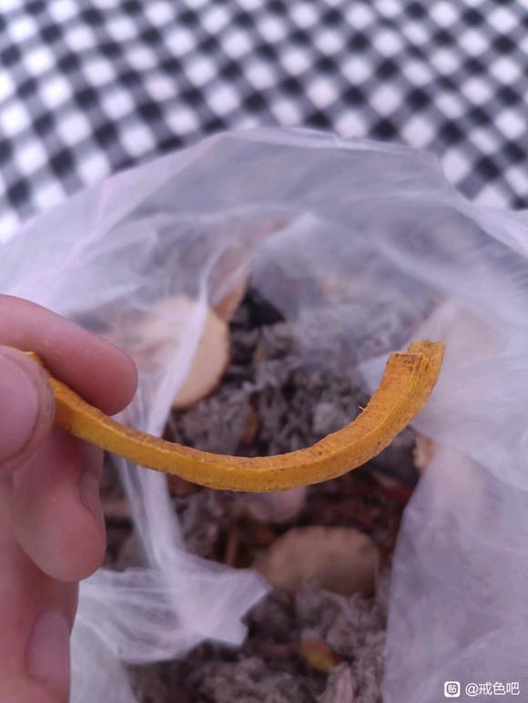 ”频遗真的无药可医，无医可救了吗？