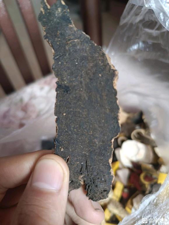 ”频遗真的无药可医，无医可救了吗？