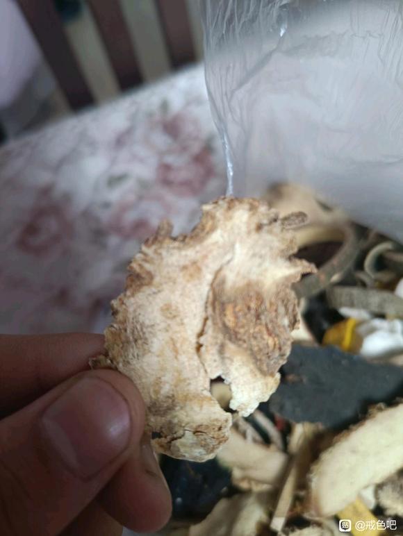 ”频遗真的无药可医，无医可救了吗？