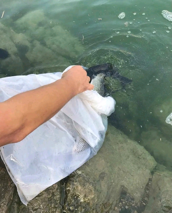 ”2023年10月19日放生记录