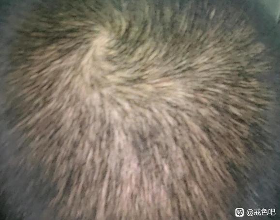 ”劝各位戒友不要沉迷那种东西，坚持戒色锻炼身体，远离毒害