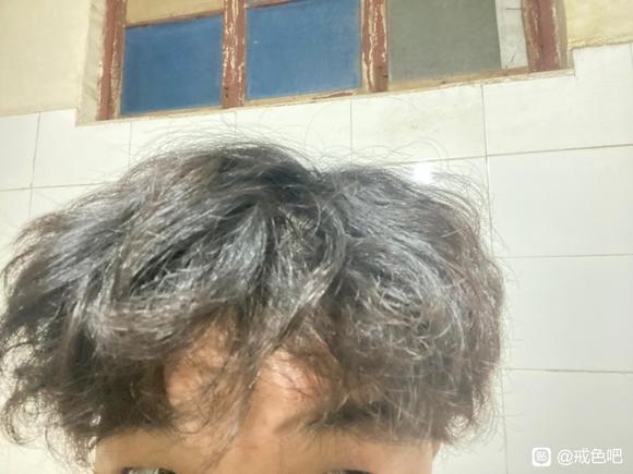 ”怎么办啊师兄们