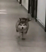 ”强迫症，破戒了吗？