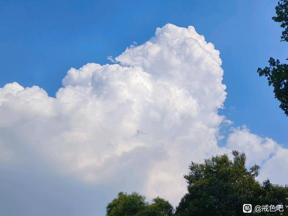 ”戒了80天遗j了