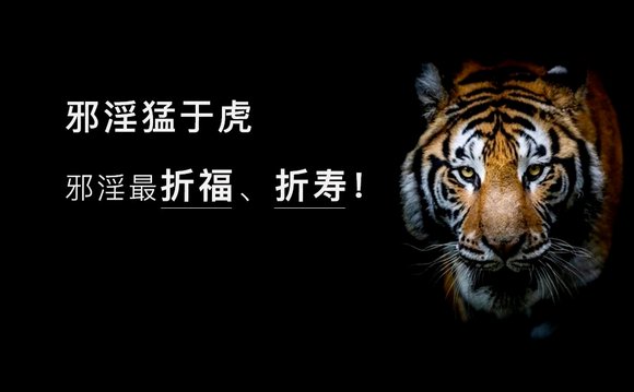 ”中医女博士陈松鹤：性开放的严重后果　　开放的性生活会毁掉无数