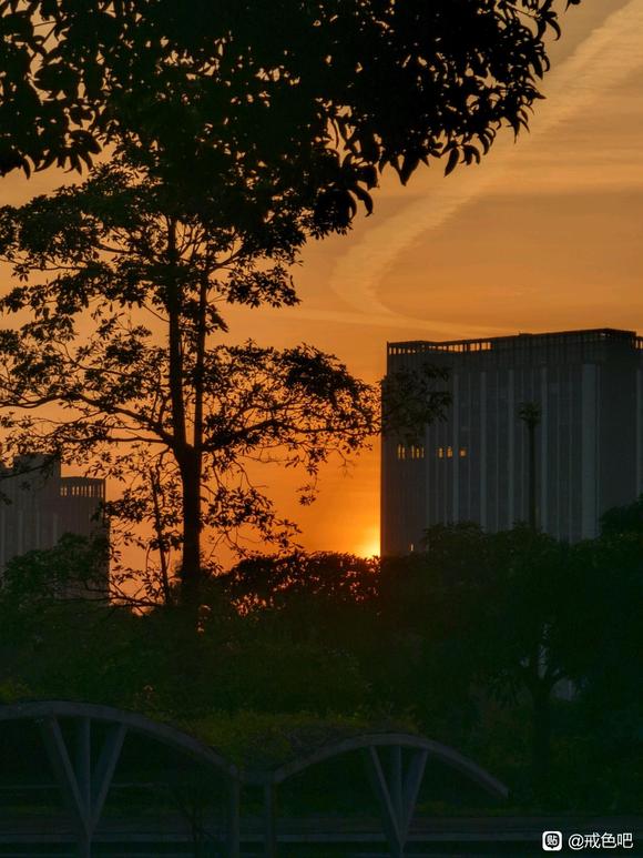 ”戒色打卡，第二十一天