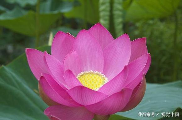 ”忏悔，是人生最好的修行你的身边有我（转发其他网站）