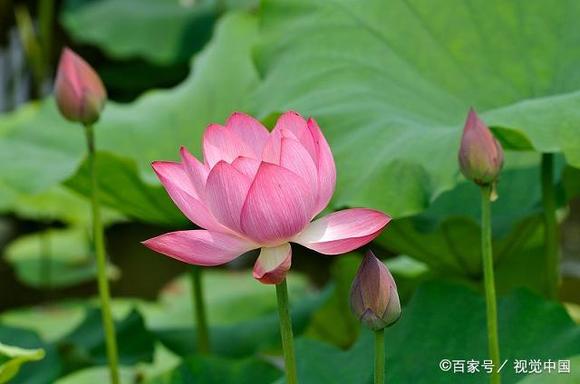 ”忏悔，是人生最好的修行你的身边有我（转发其他网站）