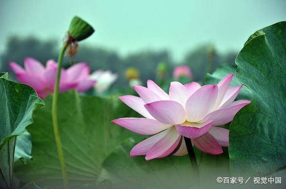 ”忏悔，是人生最好的修行你的身边有我（转发其他网站）