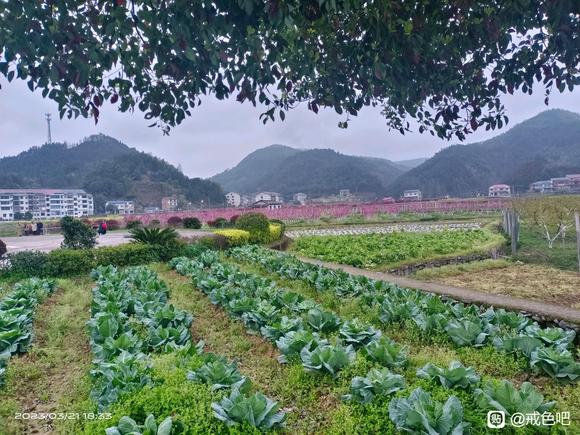 ”戒…………。。。。。。