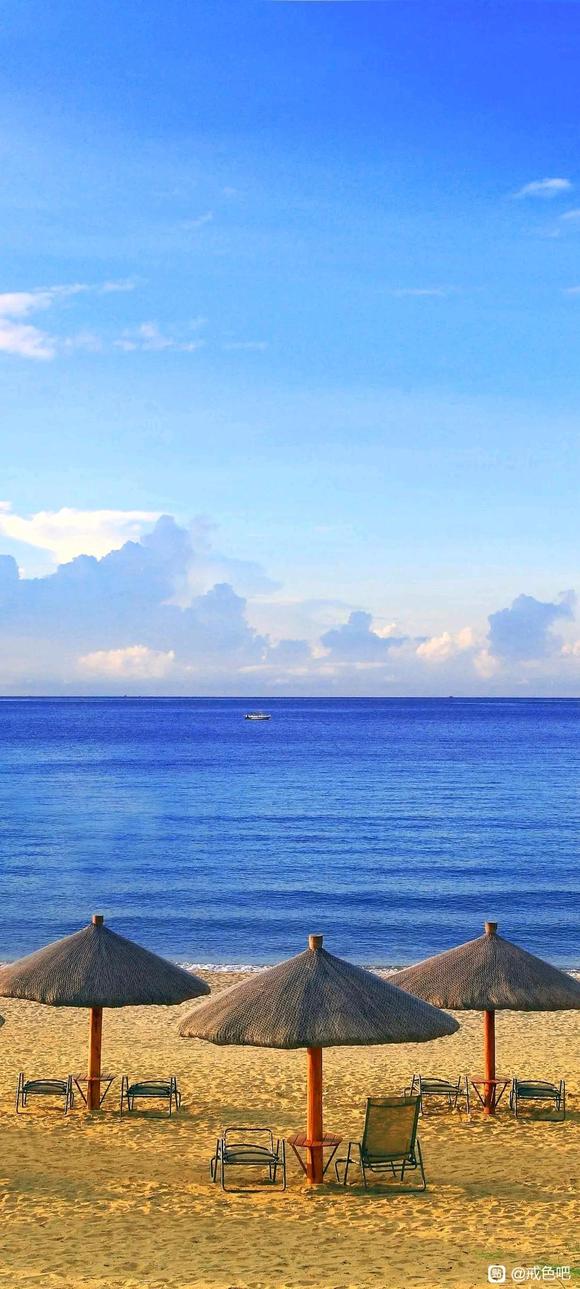 ”想问一下大家sy的频率一般都是几天一次？