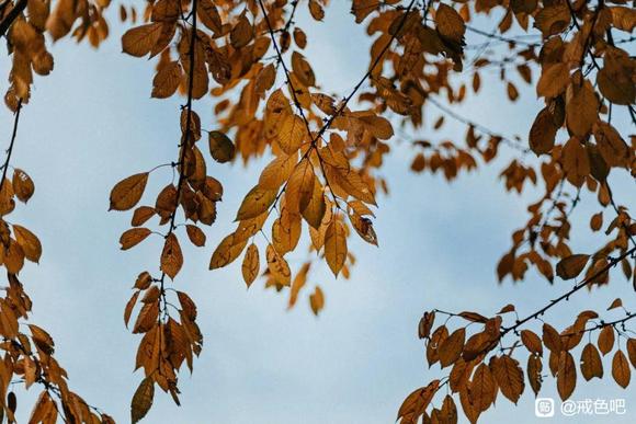 ”戒色第67天！