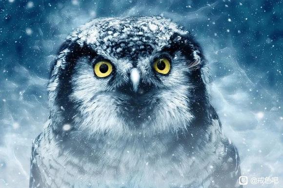 ”戒色第68天！