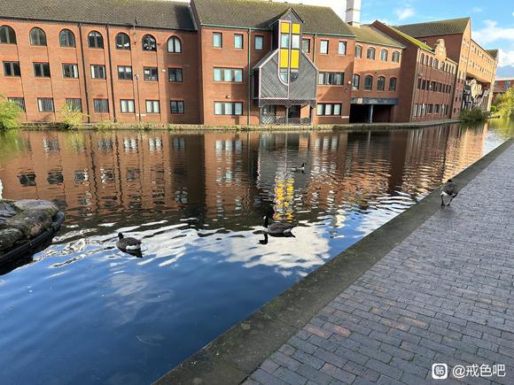 ”如此多的症状却还深陷其中