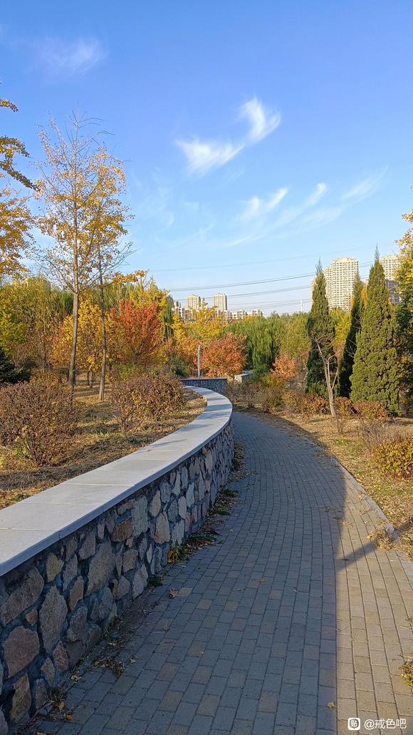 ”树疗半小时结束