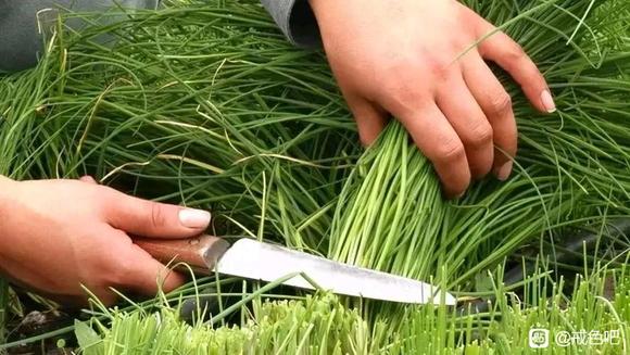 ”想起2个月前被诈骗的事，被骗3万余元