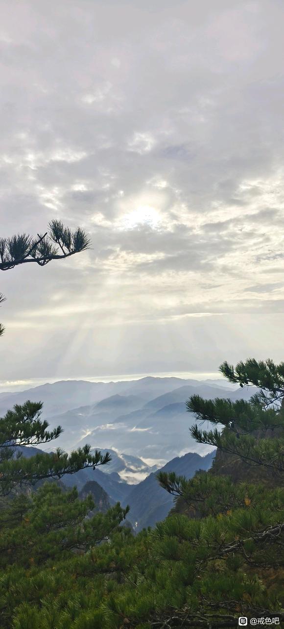 ”分享一下自己的心得，希望能帮到大家。