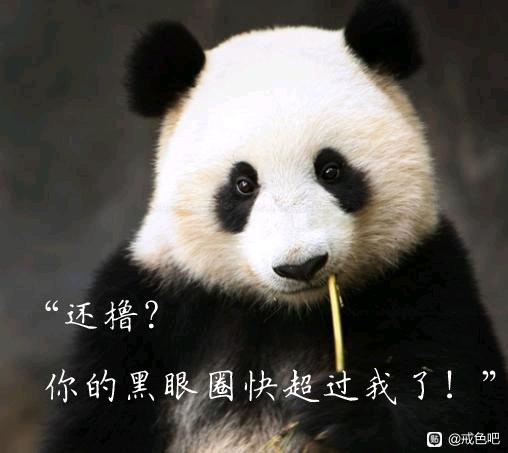 ”戒色打卡第0天