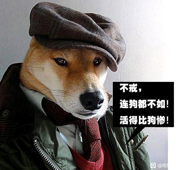 ”戒色打卡第0天