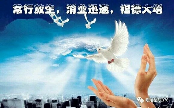 ”借了一个星期又破功了！怎么办好绝望啊！身体不受控制的！！！我