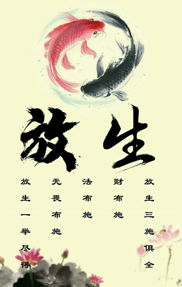 ”借了一个星期又破功了！怎么办好绝望啊！身体不受控制的！！！我