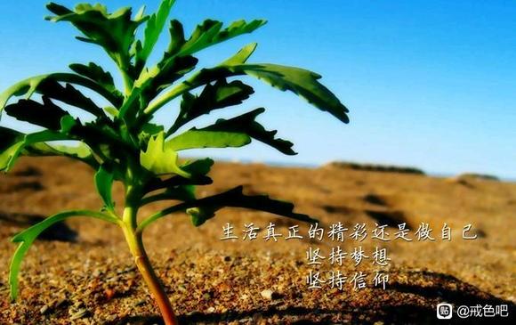 ”今天是我戒色的第一天，加油