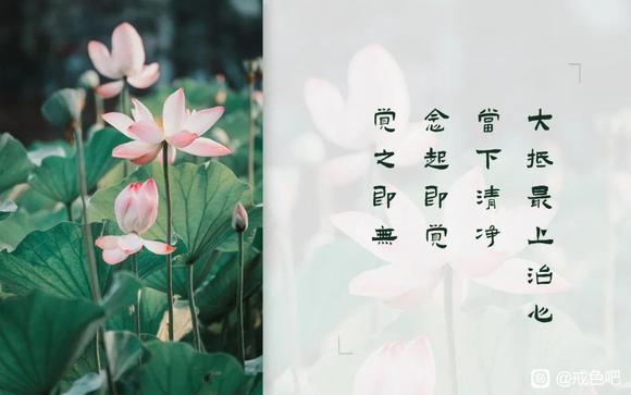 ”戒色第133天!