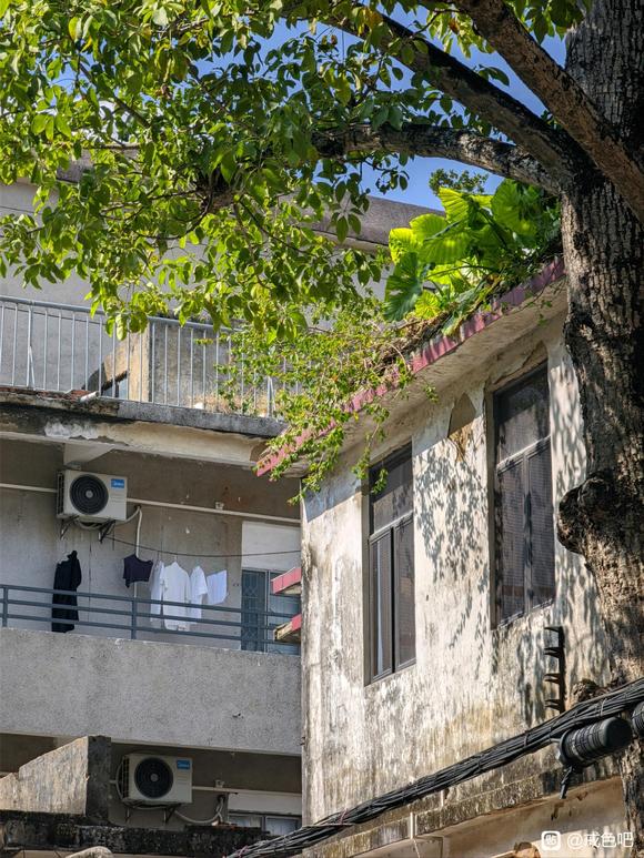 ”【戒色心得】戒色打卡，第三十二天