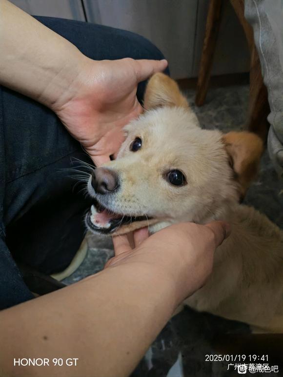 ”#微信看病卖药是假的#再见了，戒友们