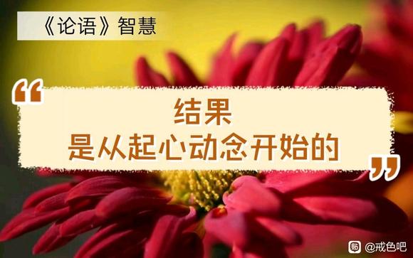 ”读戒为良药第22季有感