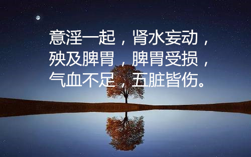 ”一年身体修复之路