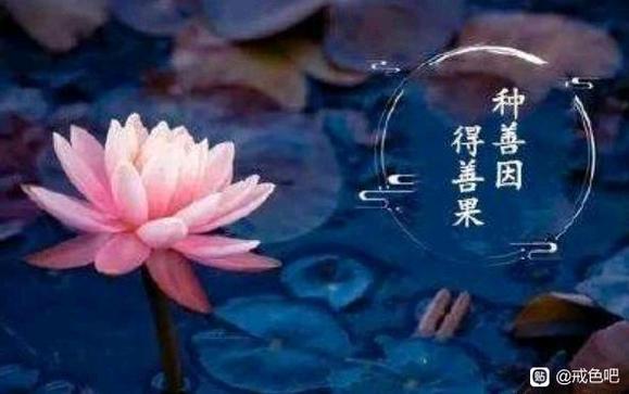 ”戒S一年，戒S总结和恢复情况