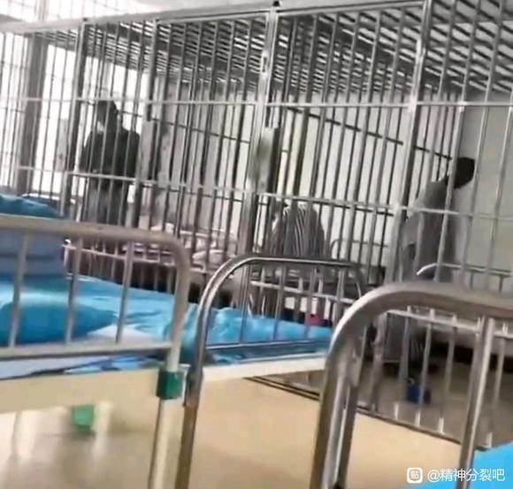 ”精分一旦确诊就面临falv歧视，毫无活路，恢复得再好也没用。