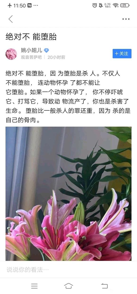 ”珍惜生命，反对堕胎