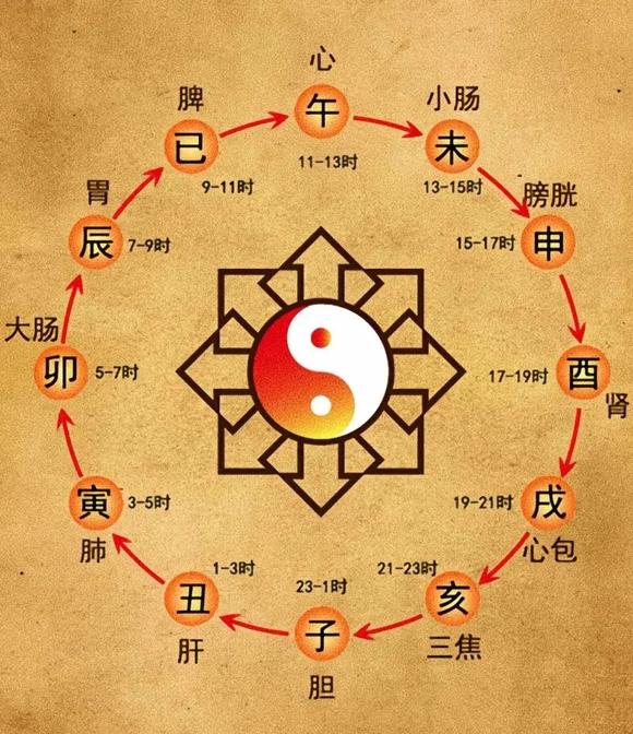 ”中医养生十二时辰表，每天照着做，远离疾病，身体健康又长寿！