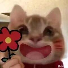 ”坚持了90天了8友们