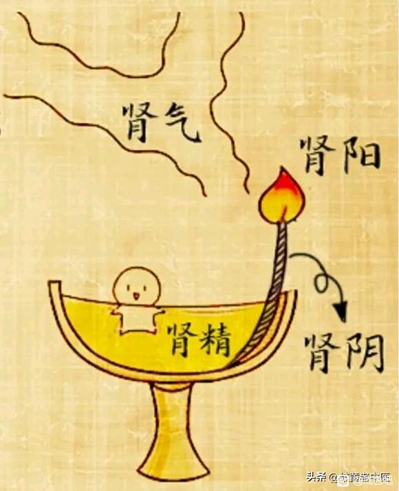 ”很久没有来，看看大伙